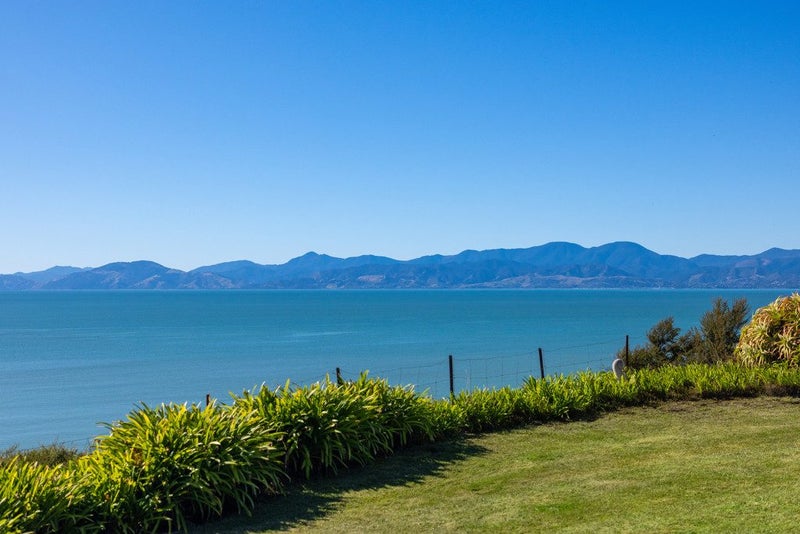 Stunning Coastal Oasis in the Heart of Ruby Bay64551167826819112