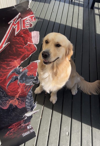 Metallica poster - LIMITED EDITION Carousel 3