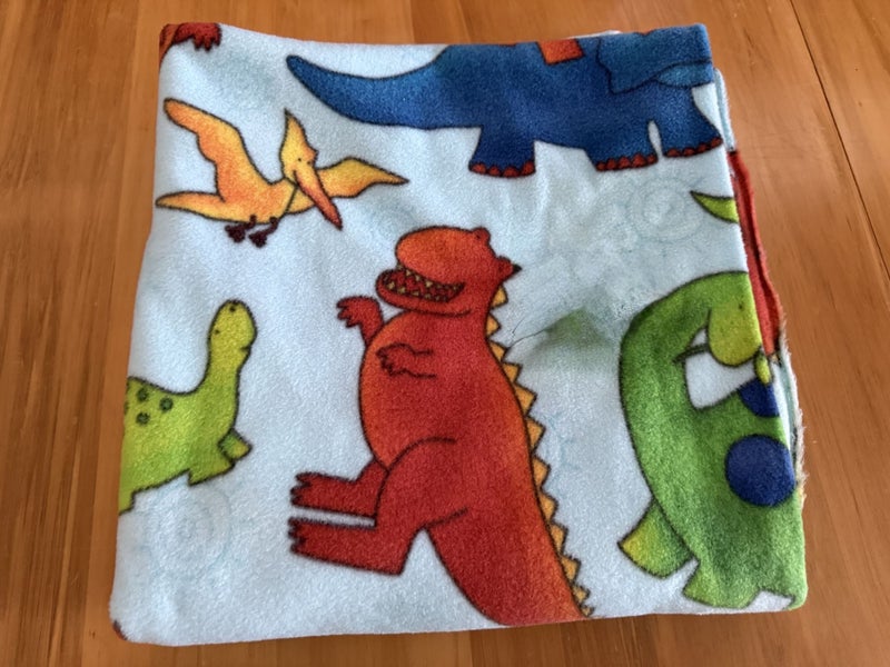 Dinosaurs Fleece Carousel 1