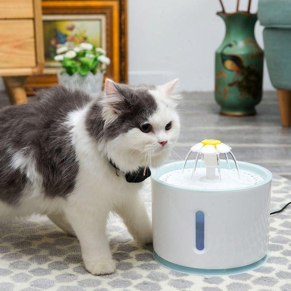 Ape Basics: Pet Electric Water Dispenser Carousel 2