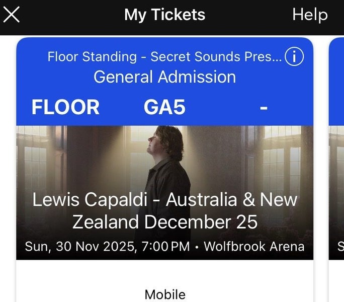 Lewis Capaldi tickets x2 chch64570004566274110