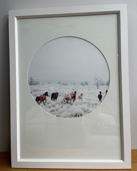 Horses print in frame with glass Carousel 1