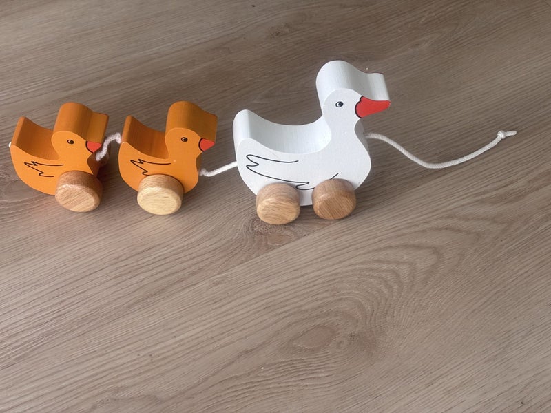 _Toy ducks to pull Carousel 1