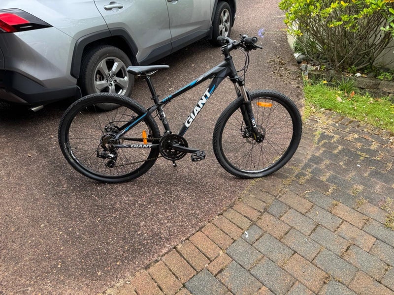 Giant ATX Mountain Bike Carousel 2