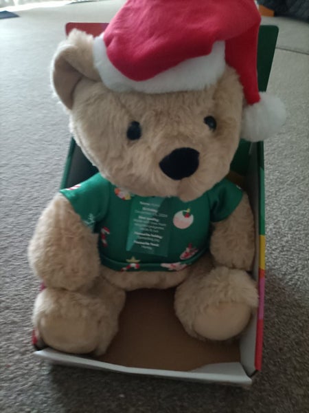 large teddy x 4 new Carousel 1