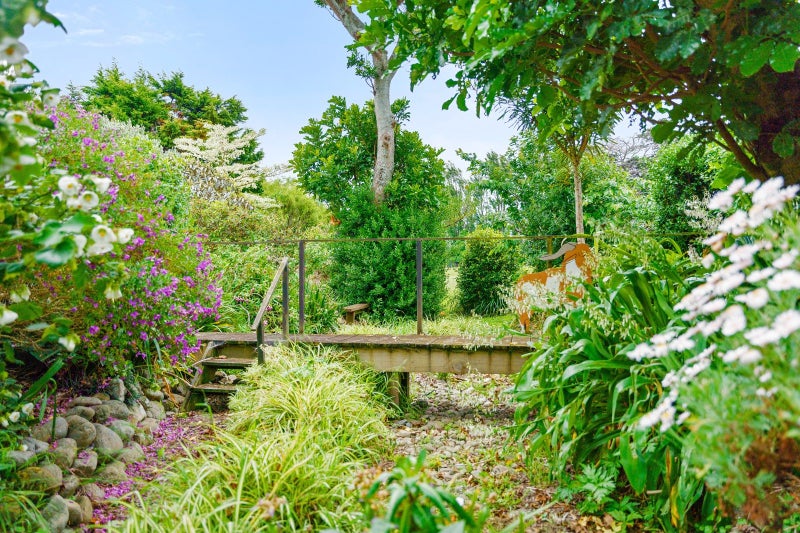 SUE IN BLOOM64573942477441112