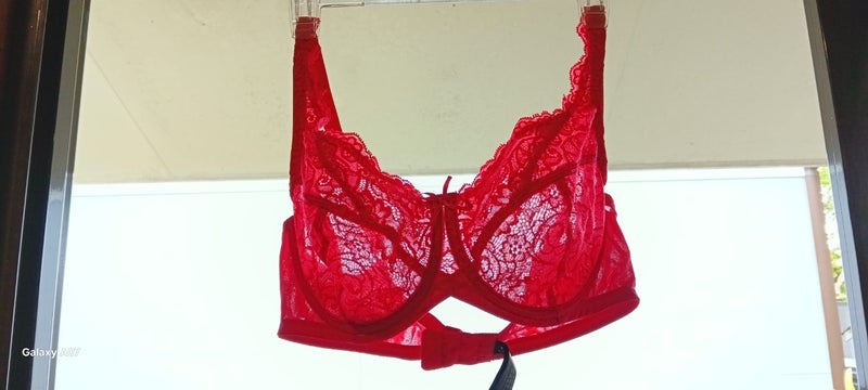 Fayreform bra 14DD Carousel 1