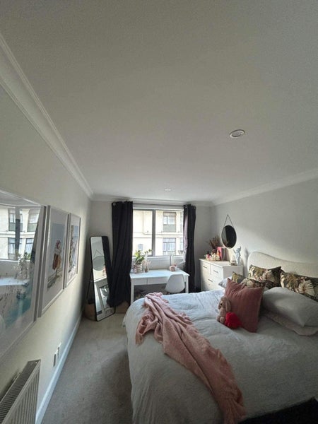 Berhampore, 6+ bedrooms64574740274433114