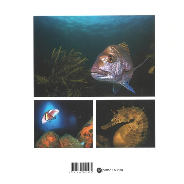 Fishes of Aotearoa New Zealand Carousel 2