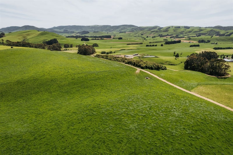 Well-Developed Summer-Safe Dairy Unit64580614787203111