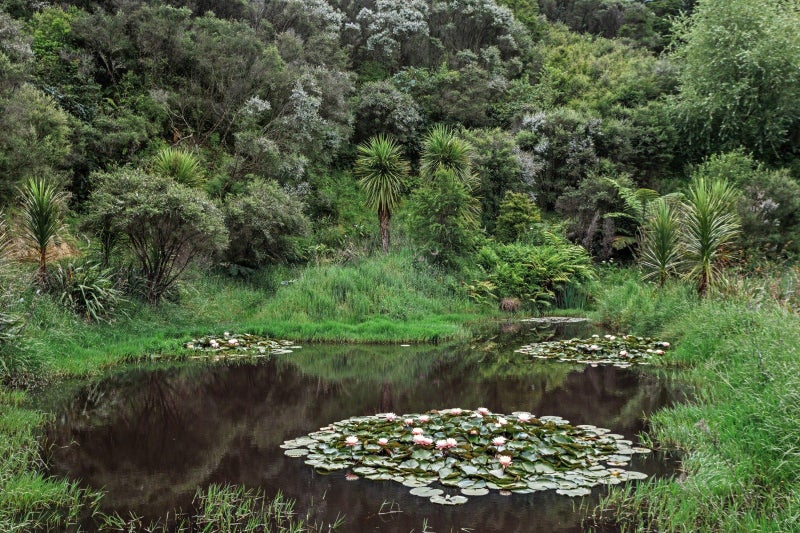 5.66ha Harbourside Haven64581010619265111