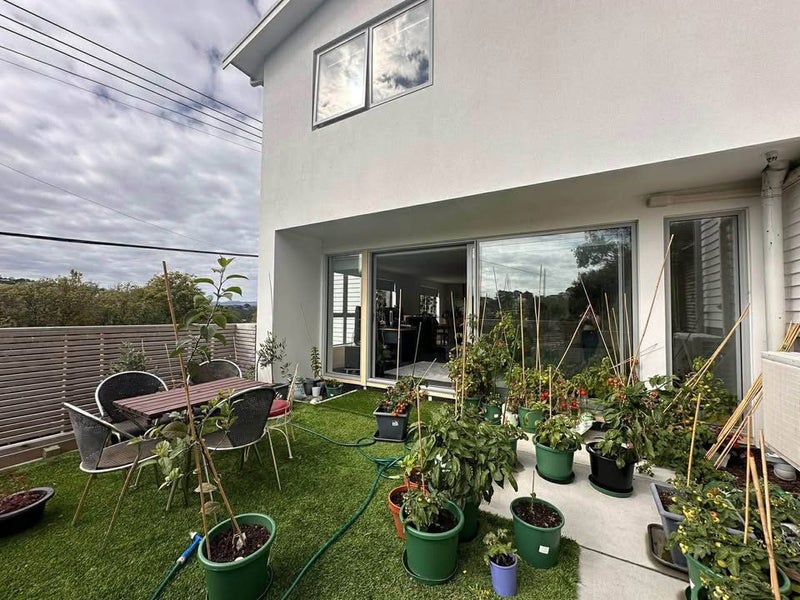 Johnsonville, 3 bedrooms64581161361155110