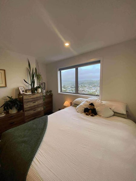 Johnsonville, 3 bedrooms64581161361155114