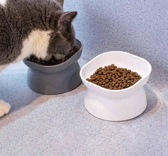 Elevated Wide Opening Cat Bowl Carousel 1