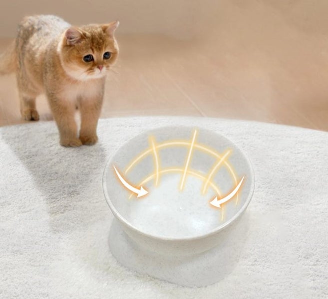 Elevated Wide Opening Cat Bowl Carousel 2