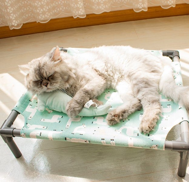 Elevated Breathable Pet Bed Carousel 2