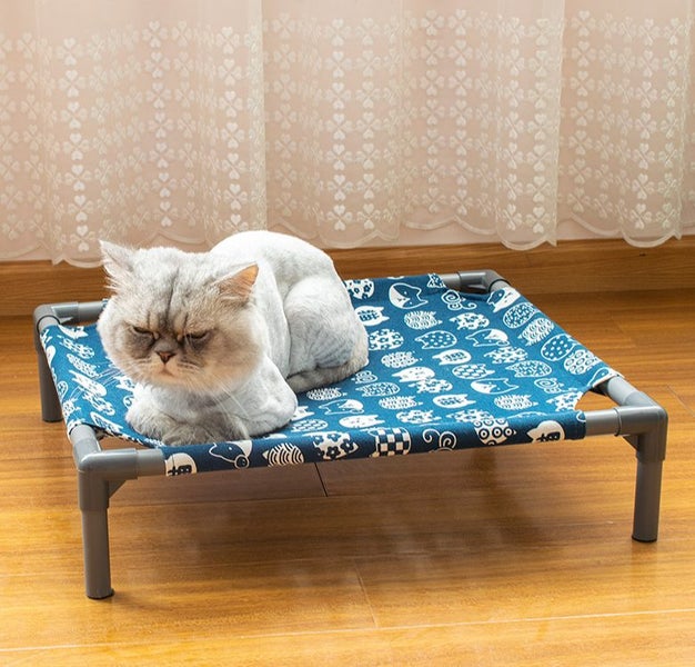 Pet Bed for Cats and Small Dogs Breathable Raised Cot with Washable Cover Carousel 1