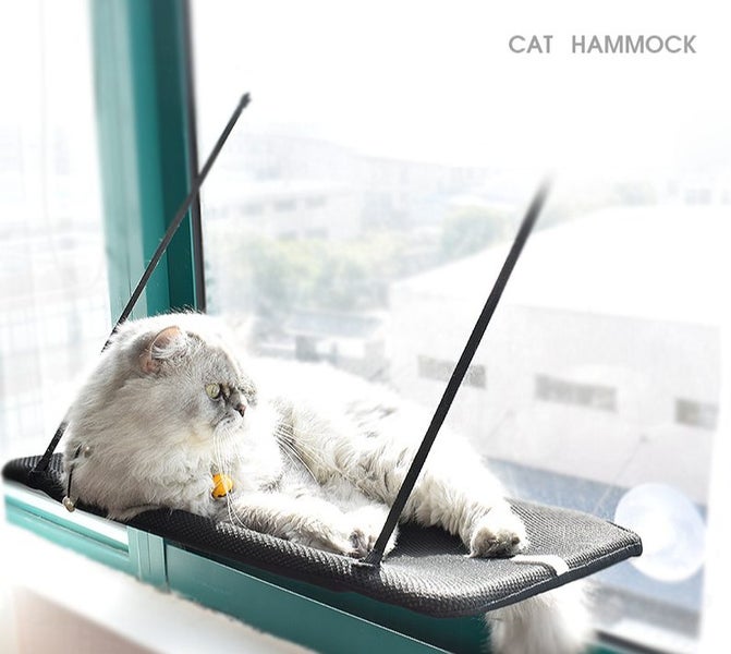 Cat Window Hammock Carousel 1