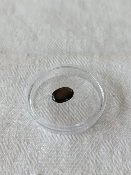 black Star Sapphire - 1.5ct. Carousel 4