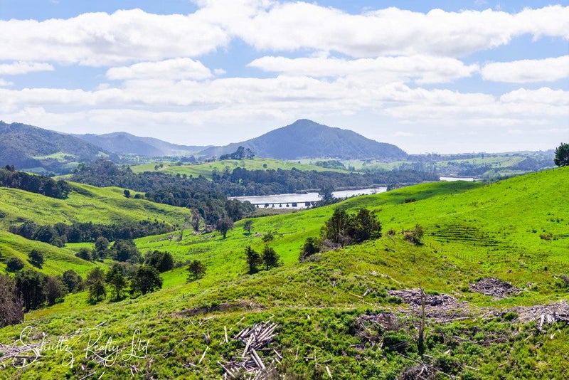 Countryside Views with Endless Possibilities64624197677186111