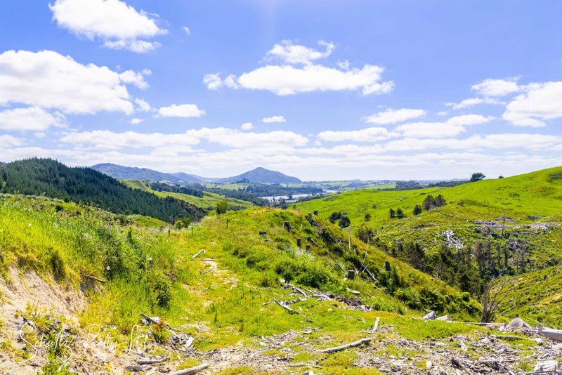 Countryside Views with Endless Possibilities64624197677186114