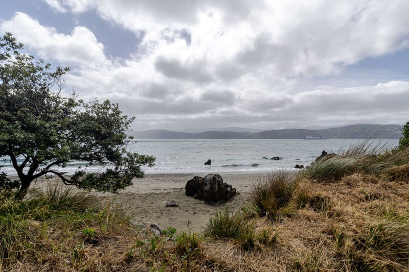 Seatoun, 2 bedrooms64584098966530110