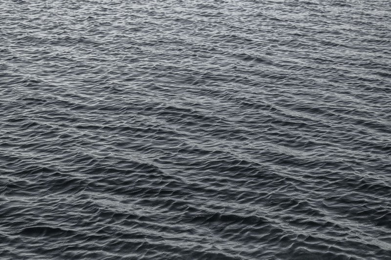 Shaday Moore, Maliwa (the middle). PhotoForumNZ fundraiser Carousel 1
