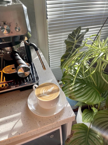 Mount Eden, 2 bedrooms64585031322242114