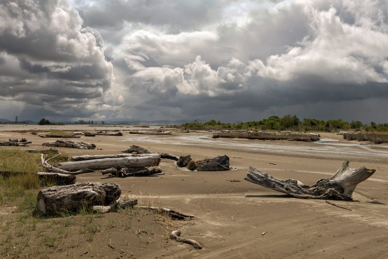 Tony Nyberg, Muriwai Beach, 2024. PhotoForumNZ fundraiser Carousel 1