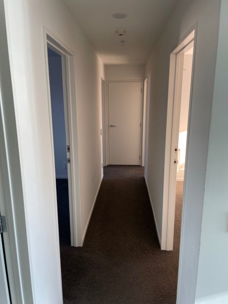 Te Aro, 4 bedrooms64590733038210114