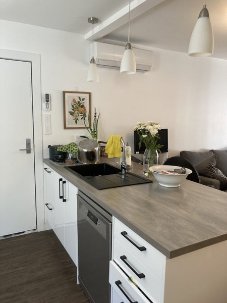 Te Aro, 1 bedroom64591832558851112