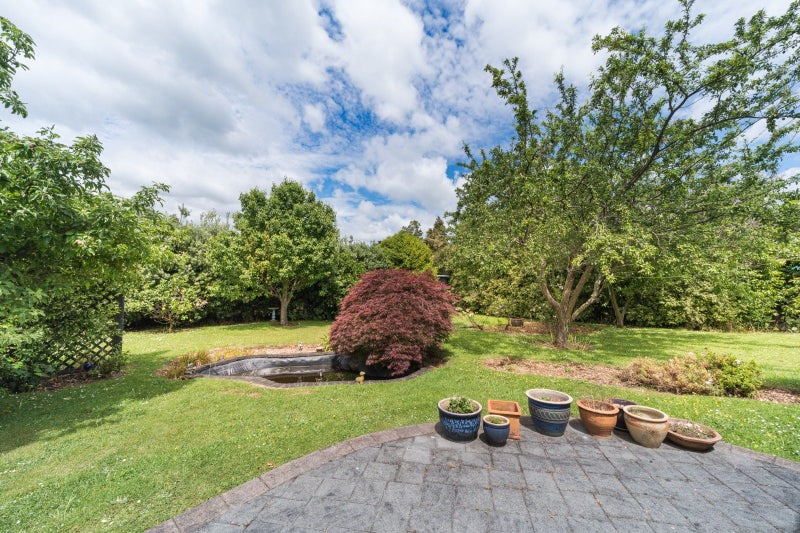 Be in for Christmas!64593015282819113