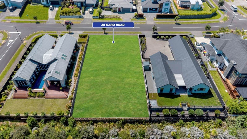 CHRISTMAS QUACKER64691800108930113