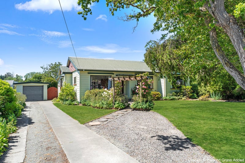 The Big-Section Kiwi Dream64593514072963110