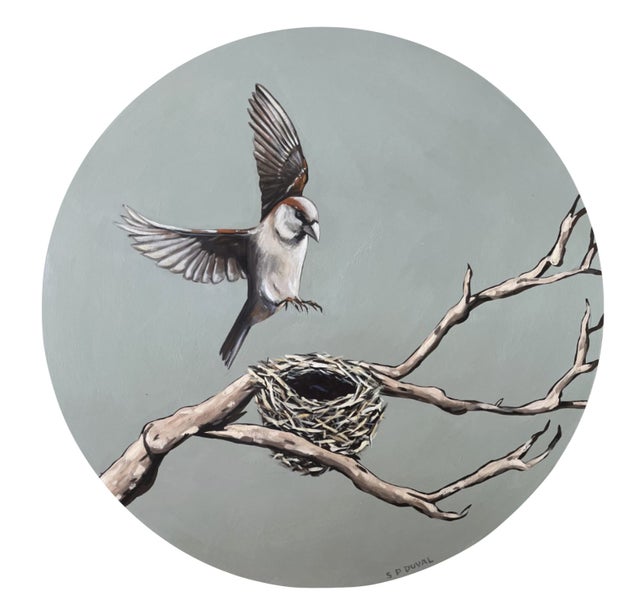 'Nest' - Original Artwork by Stu Duval64782494539650110