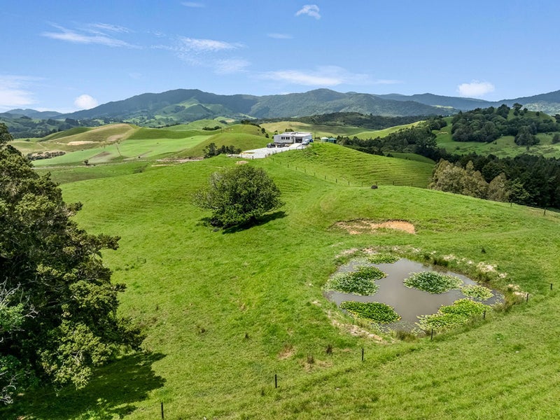 Productive Farm in Takahue64593721756289110