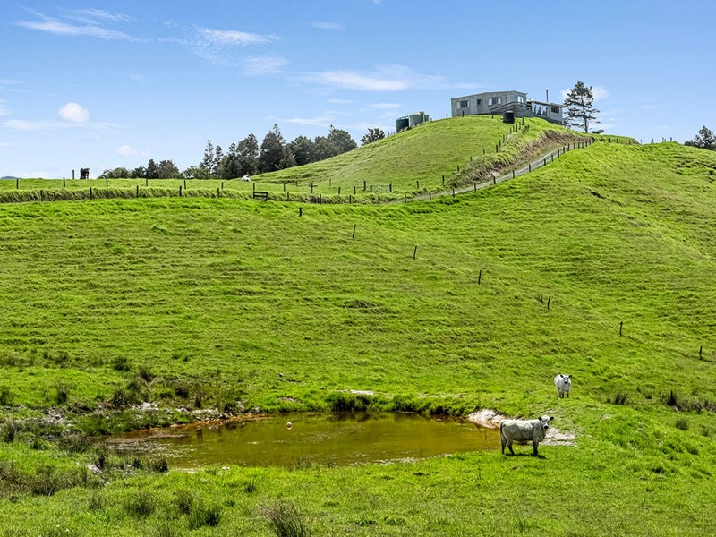 Productive Farm in Takahue64593721756289111