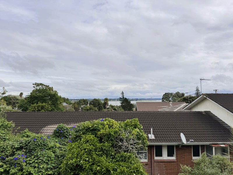 Onehunga, 2 bedrooms64593819085313111