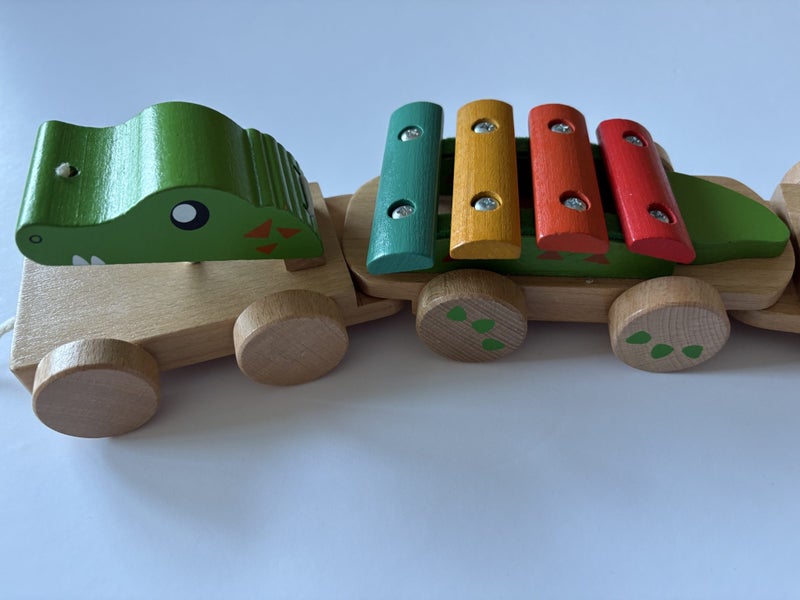 EverEarth pull along crocodile Carousel 2