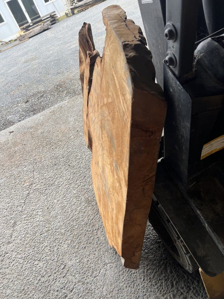 AK250062 Ancient Swamp Kauri Stump Slab – 120 × 120 / 110 × 8.5 cm64594043491713112