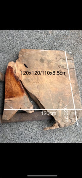 AK250062 Ancient Swamp Kauri Stump Slab – 120 × 120 / 110 × 8.5 cm64594043491713110