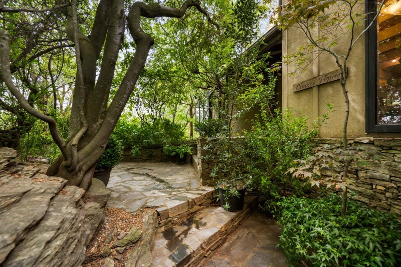 Listen to the Bird Song64594508279299111