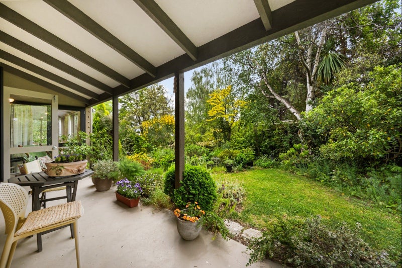 Listen to the Bird Song64594508279299113