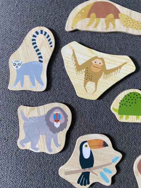 Twenty One DJECO MAGNETIC ANIMALS - Educational Toy Carousel 2