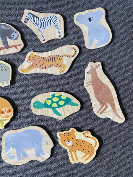 Twenty One DJECO MAGNETIC ANIMALS - Educational Toy Carousel 5