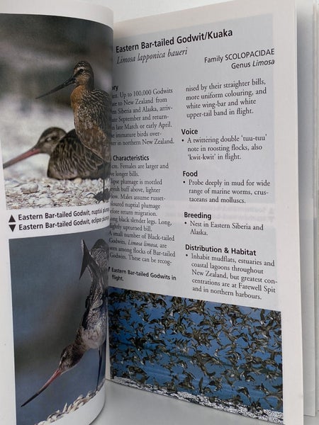 COMMON BIRDS IN NEW ZEALAND: Volume 2 by Geoff Moon Carousel 6