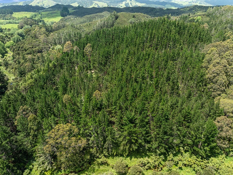 Looking for Peace, Privacy & Tranquility?64595985493506114