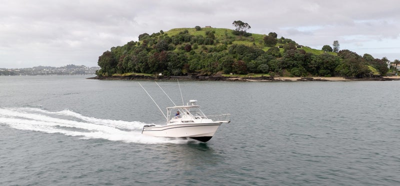 Grady White 300 Marlin64596678372098113