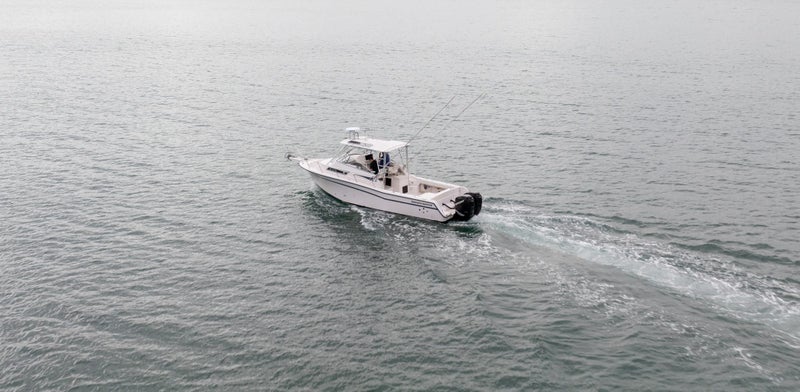 Grady White 300 Marlin64596678372098114