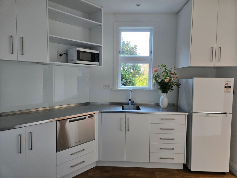 Aro Valley, 1 bedroom64597070485505111